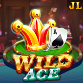 Wild Ace slot on FB005
